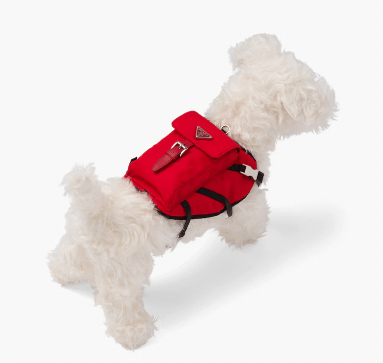 Accessori pet Prada