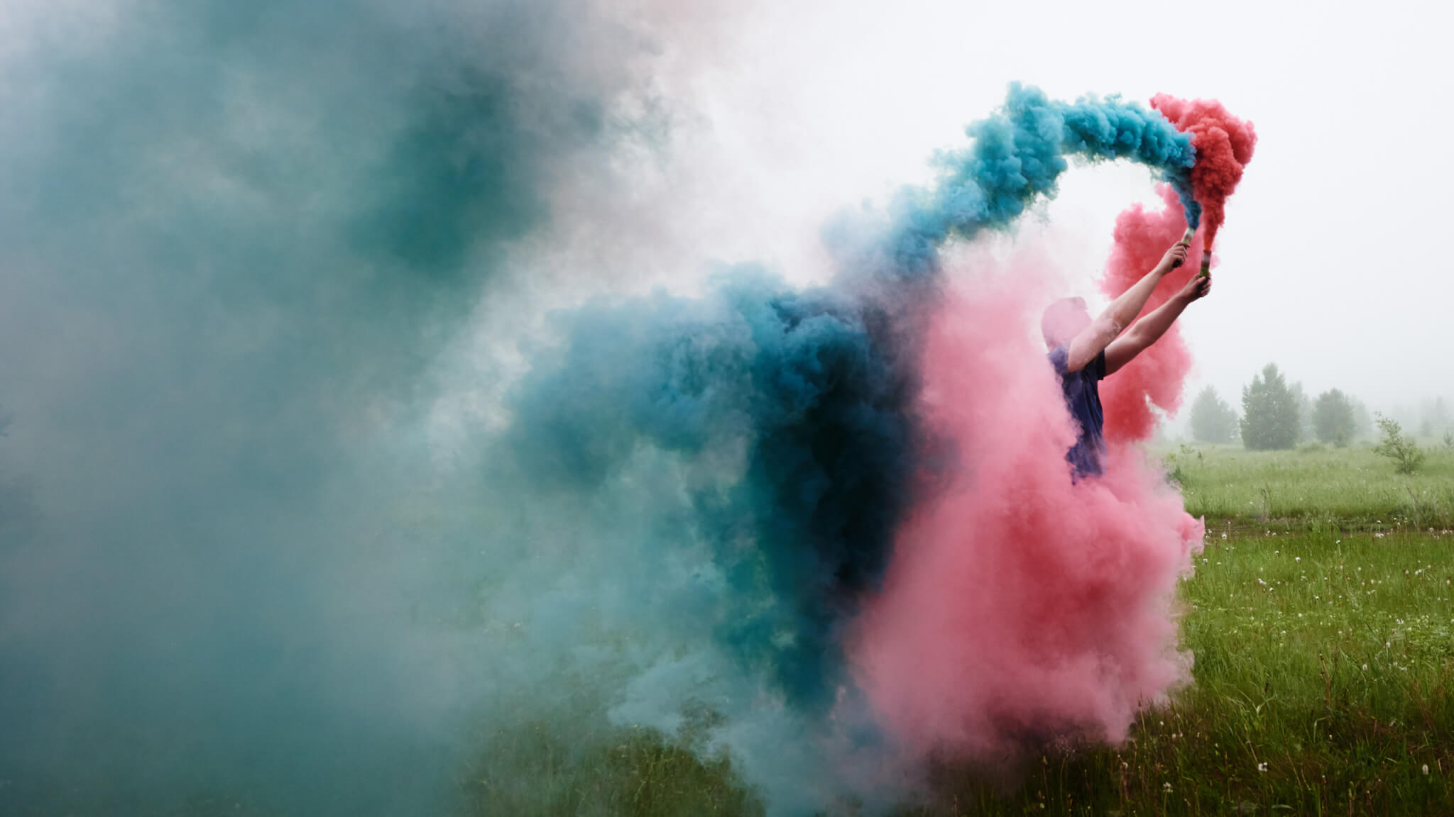 Gender reveal 2