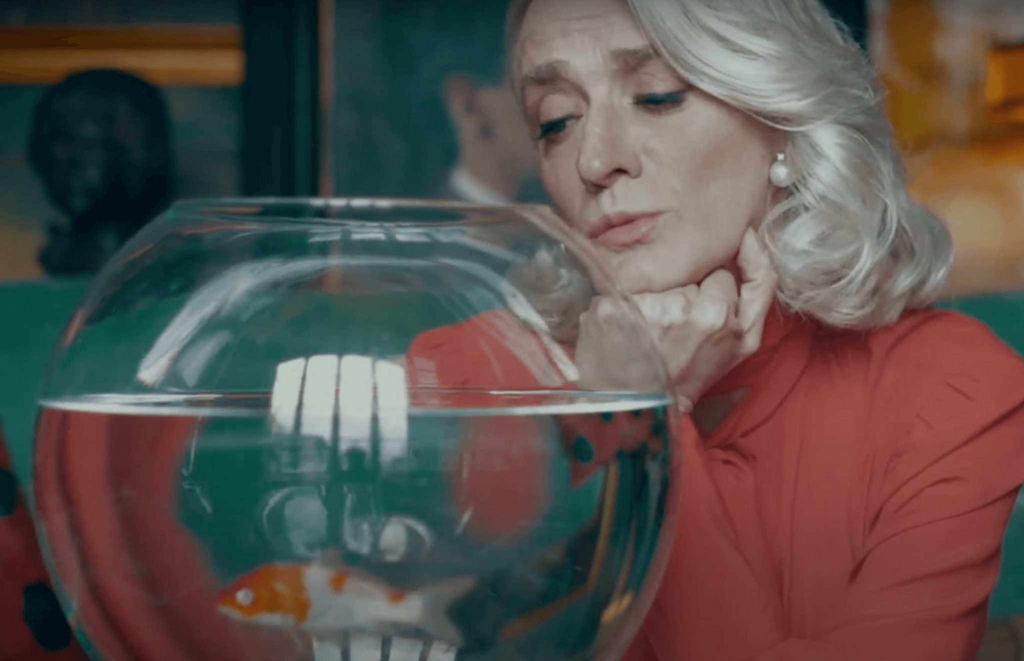 Drusilla Foer, amica degli animali e dell'ambiente