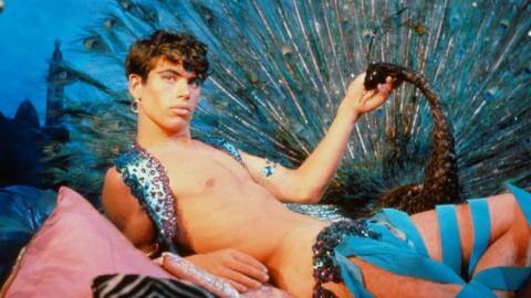 James Bidgood Gay.it
