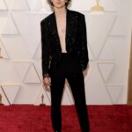 Timothee chalamet in LV - Thumbnail