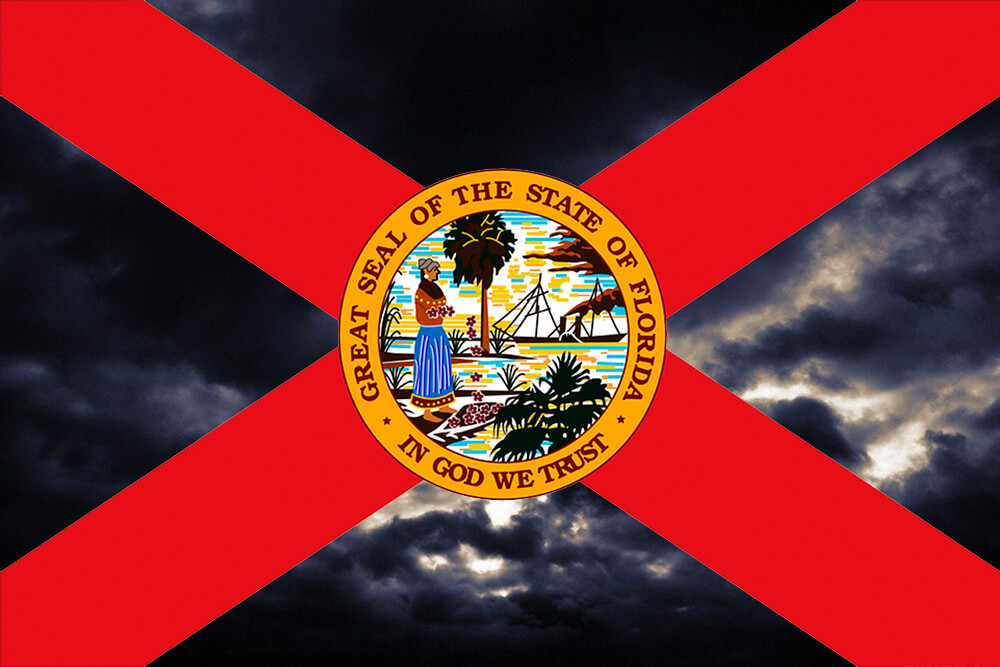 don't say gay florida