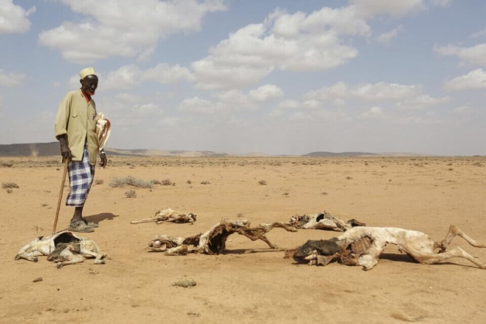 Catastrofe in Somalia: record di siccità e persone in fuga