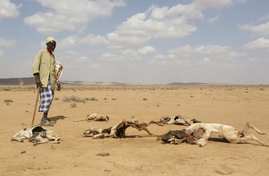 Catastrofe in Somalia: record di siccità e persone in fuga