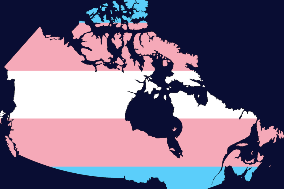 Canada primo Paese al mondo a raccogliere e divulgare i dati del censimento sulle persone trans e non binarie - Transgender Pride Flag map of Canada - Gay.it