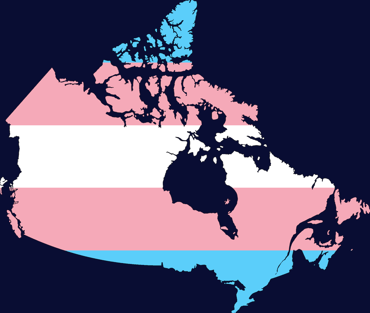 Canada primo Paese al mondo a raccogliere e divulgare i dati del censimento sulle persone trans e non binarie