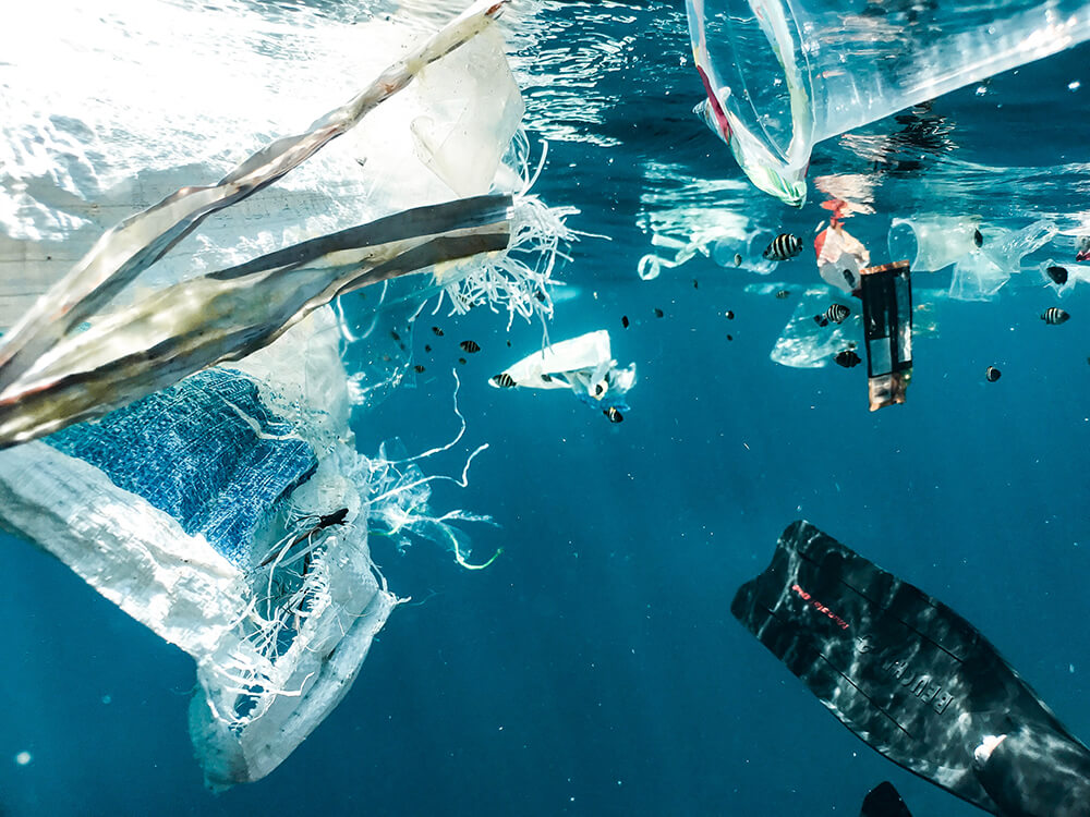 Basta plastica nel Mediterraneo, i pescatori potranno recuperarla dal mare