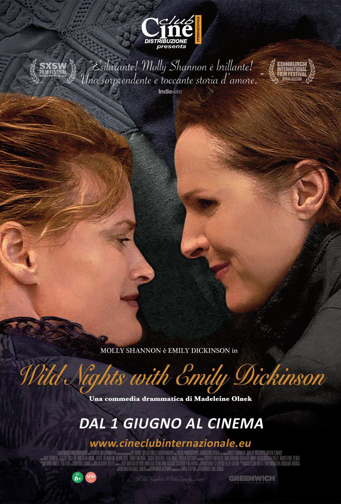 Emily dickinson torna al cinema