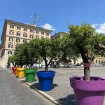 Roma Pride - Thumbnail