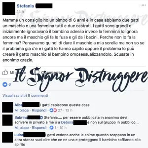 4 teorie del complotto divertentissime sulla comunità LGBTQ+ - gatto copia 300x300 1 - Gay.it
