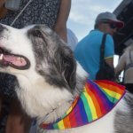 Milano Pride 2 Luglio 2022 - Foto Valerio Nico per Gay.it - Thumbnail