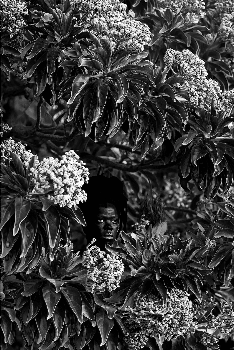TIME WILL TELL ZANELE MUHOLI + ROBERT HAMBLIN