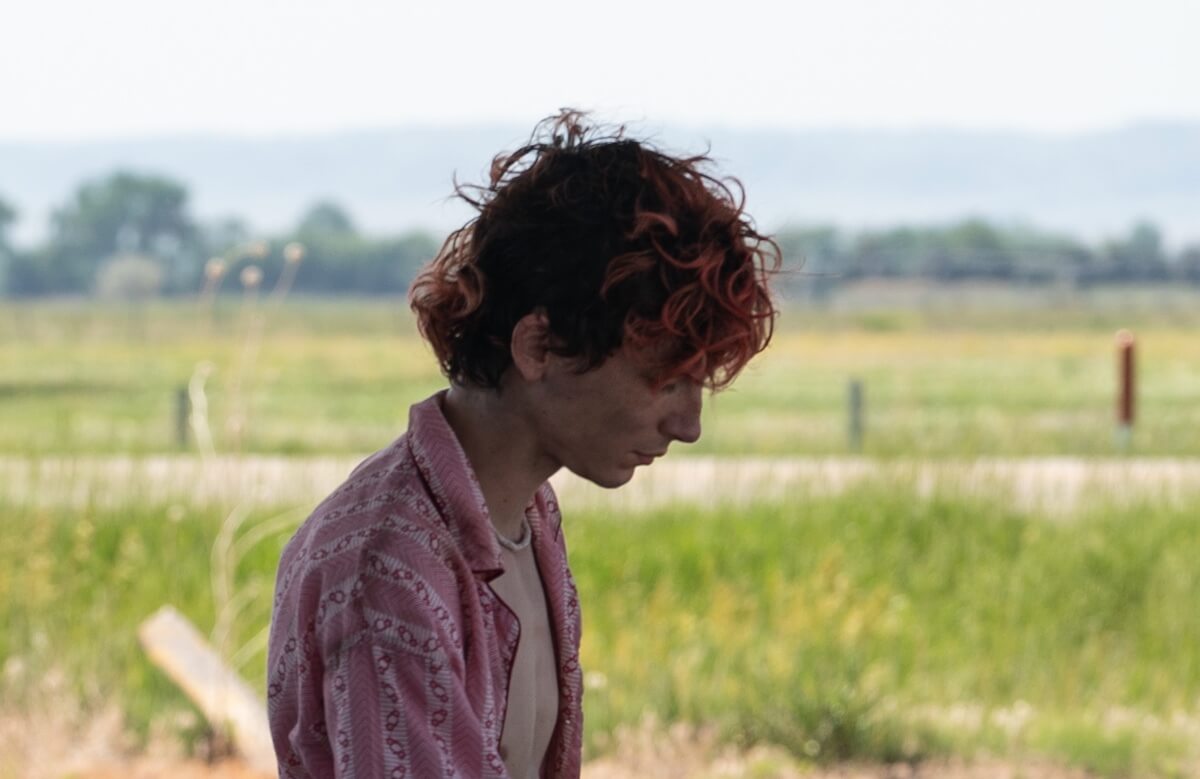 Bones and All, recensione. Fame d'Amore by Luca Guadagnino - bones and all - Gay.it