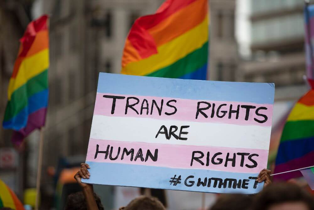 terf-cosa-e-4