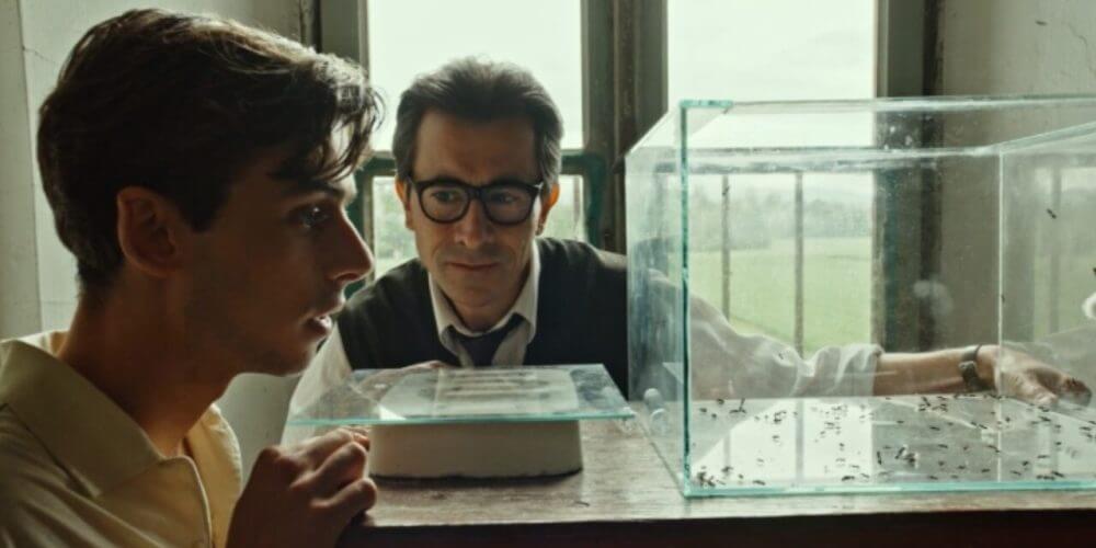 Il Signore delle Formiche, recensione: Braibanti e una grande storia d'amore travolta dall'omofobia di Stato - il signore delle formiche 1 - Gay.it