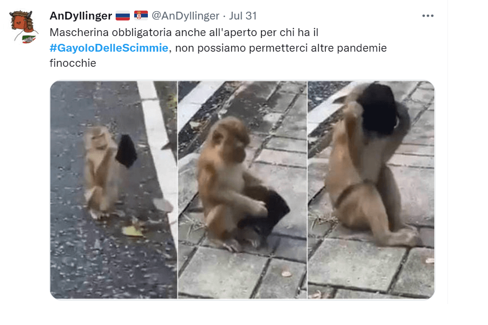 vaiolo-delle-scimmie