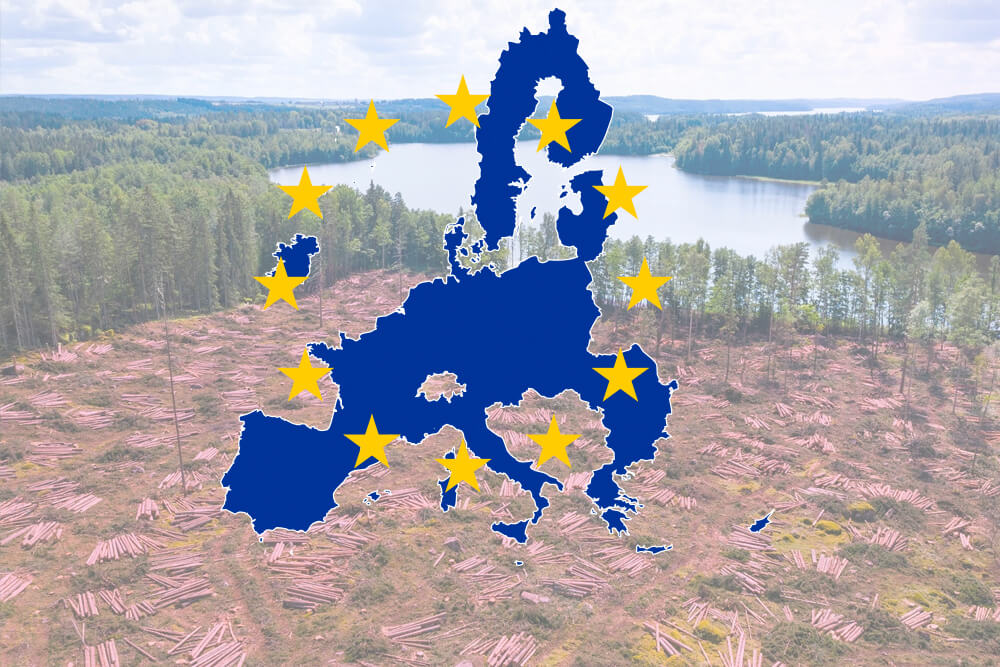UE contro la deforestazione: più controlli sui prodotti importati