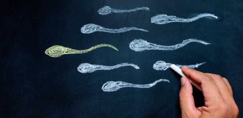 Donazione sperma uomini omosessuali Gay.it