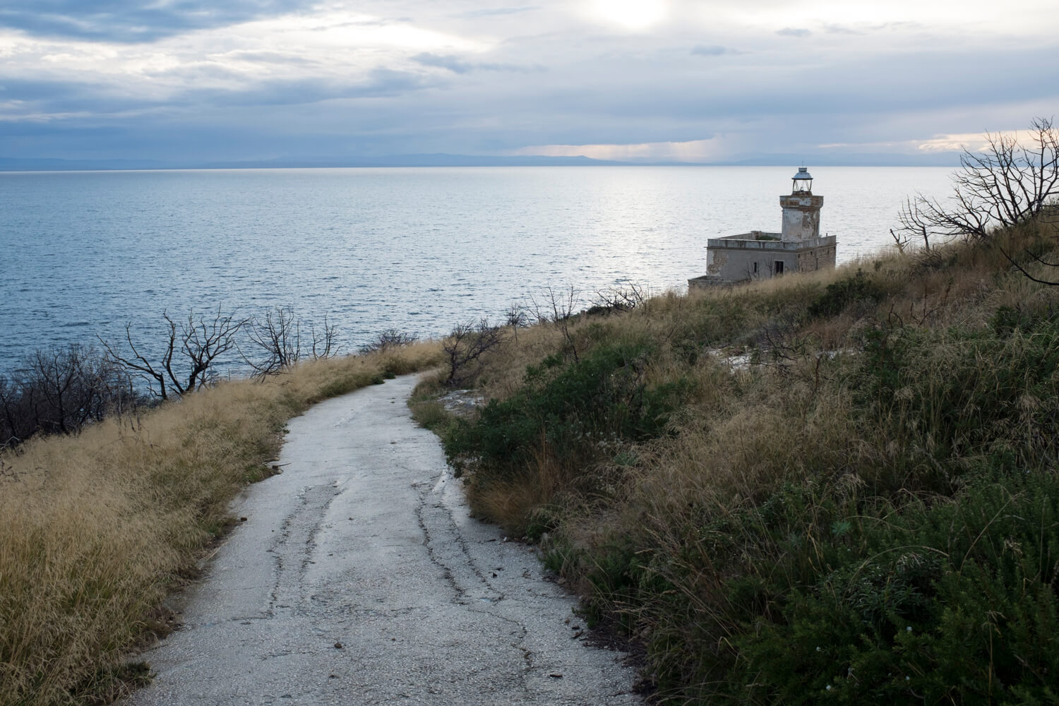 L'ISOLA DEGLI ARRUSI, 1939