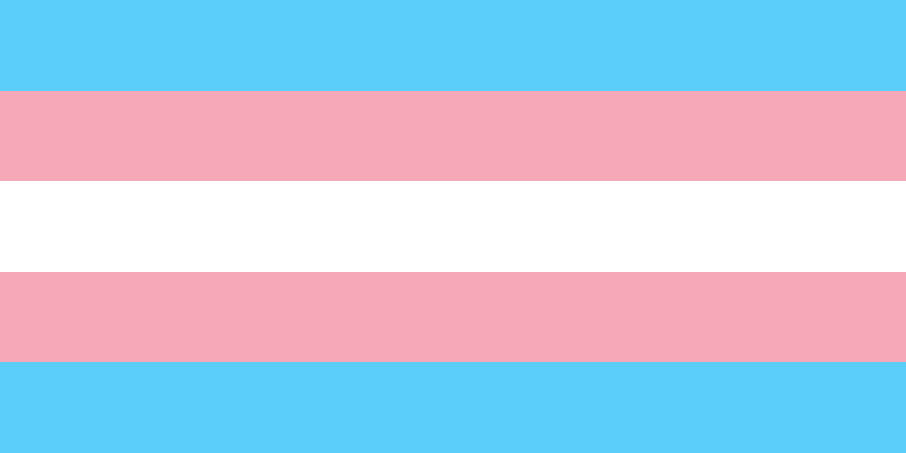 bandiera transgender significato