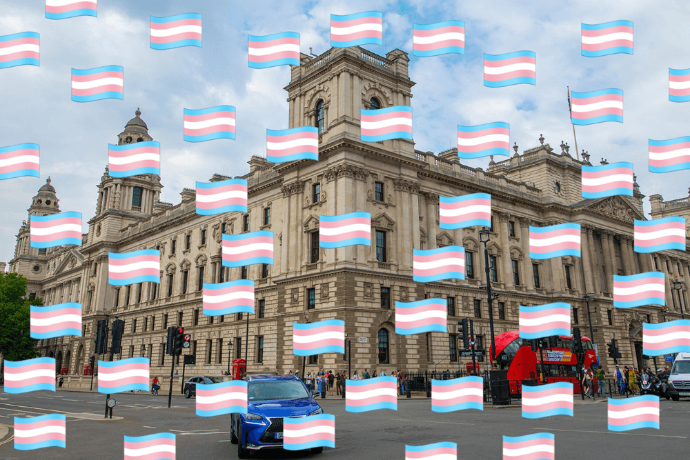 Perchè il canale Discord della Tesoreria Reale Inglese è costellato di bandiere transgender?