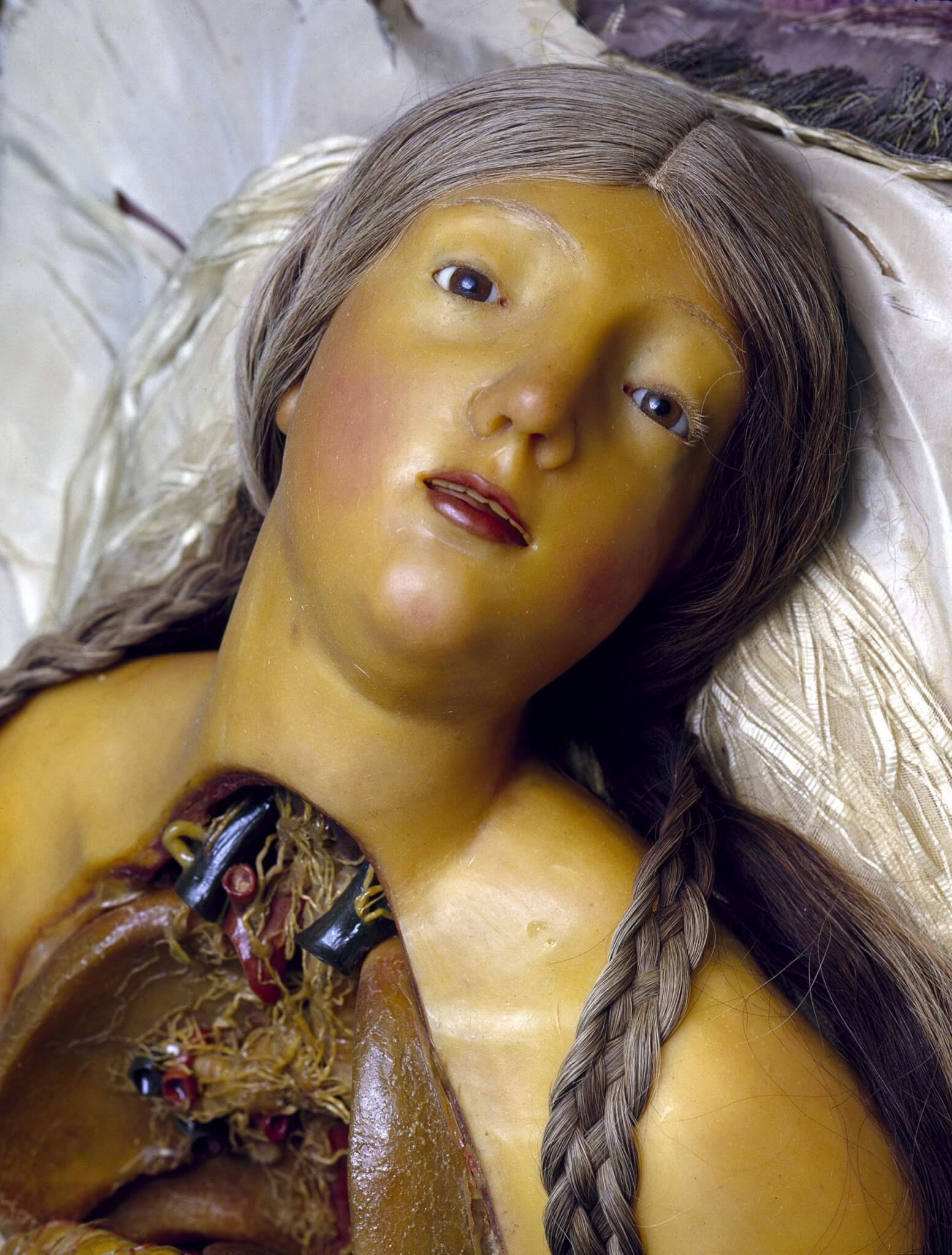 Cere anatomiche - La Specola di Firenze - David Cronenberg