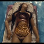 Cere anatomiche - La Specola di Firenze - David Cronenberg - Thumbnail