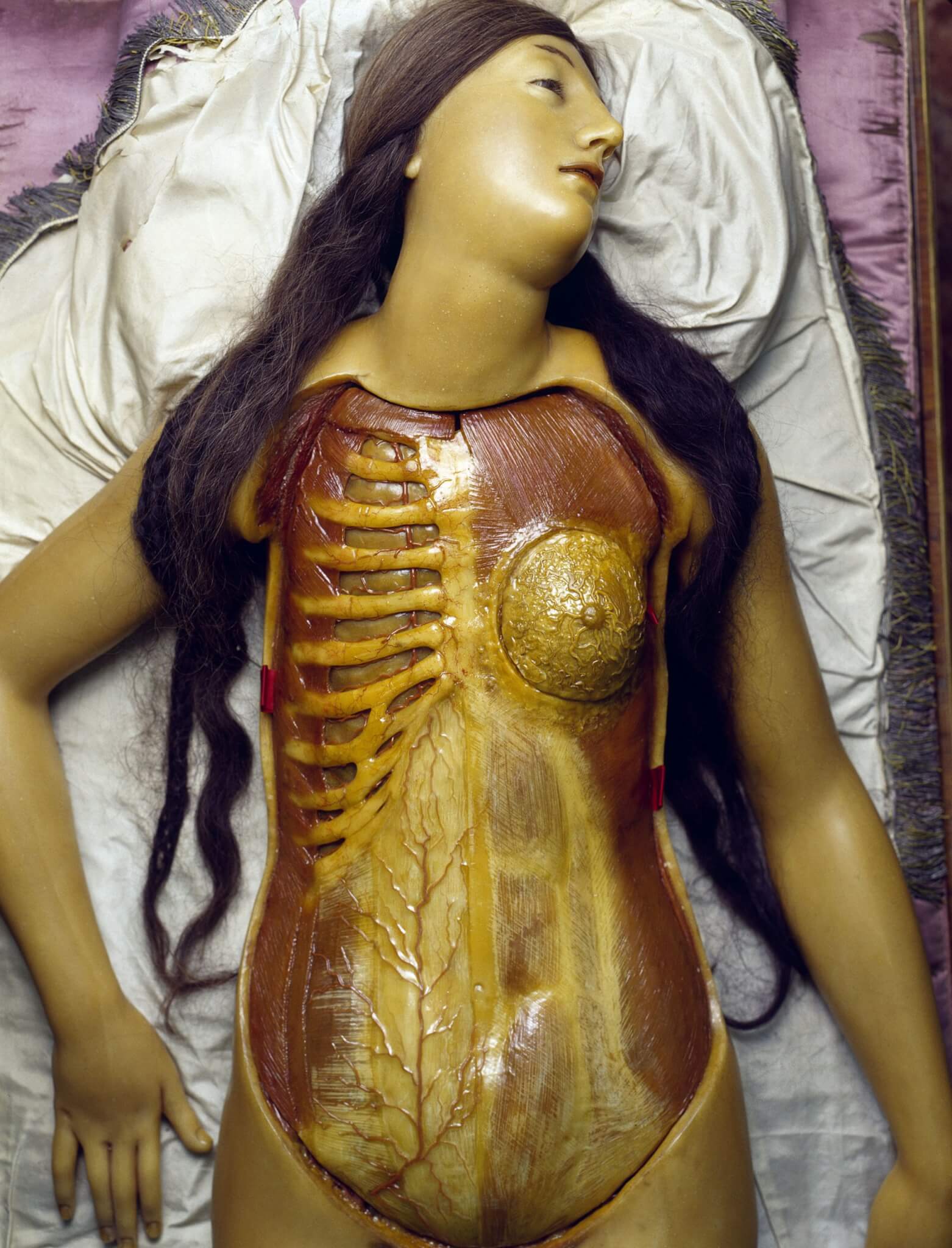 Cere anatomiche - La Specola di Firenze - David Cronenberg