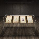 Cere anatomiche - La Specola di Firenze - David Cronenberg - Thumbnail