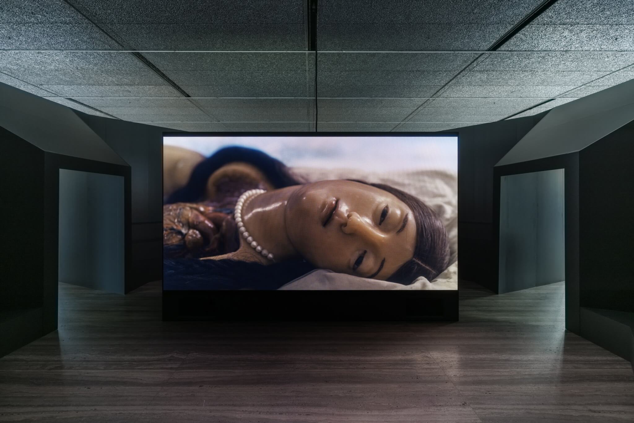 David Cronenberg Four Unloved Women, Adrift on a Purposeless Sea, Experience the Ecstasy of Dissection - Fondazione Prada