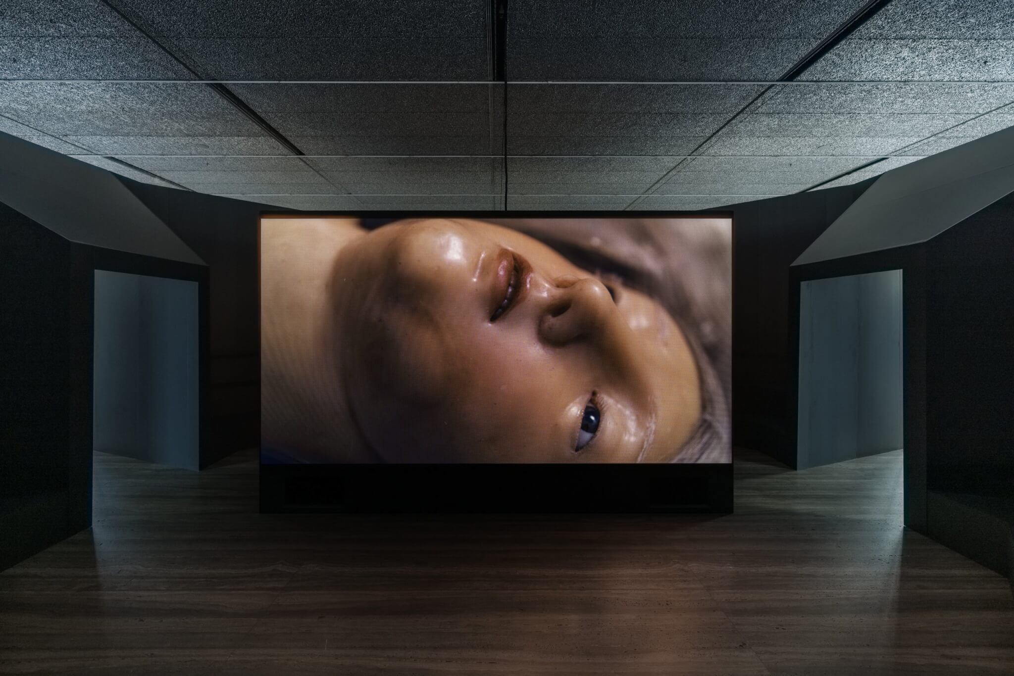 David Cronenberg Four Unloved Women, Adrift on a Purposeless Sea, Experience the Ecstasy of Dissection - Fondazione Prada