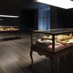 Cere anatomiche - La Specola di Firenze - David Cronenberg - Thumbnail