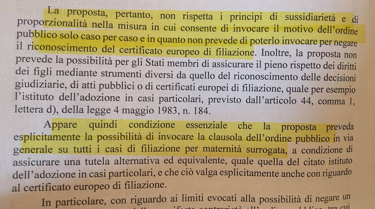 Figli di coppie omogenitoriali, il Senato boccia il regolamento UE. "L'Italia come Polonia e Ungheria" - photo1678811692 - Gay.it