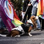 sanremo pride 2023 gay.it - Thumbnail