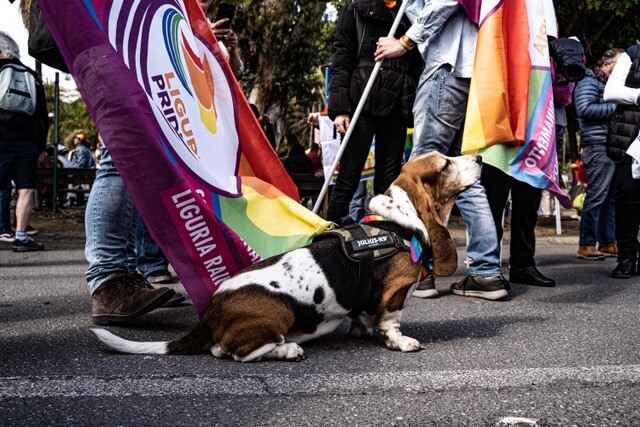 sanremo pride 2023 gay.it