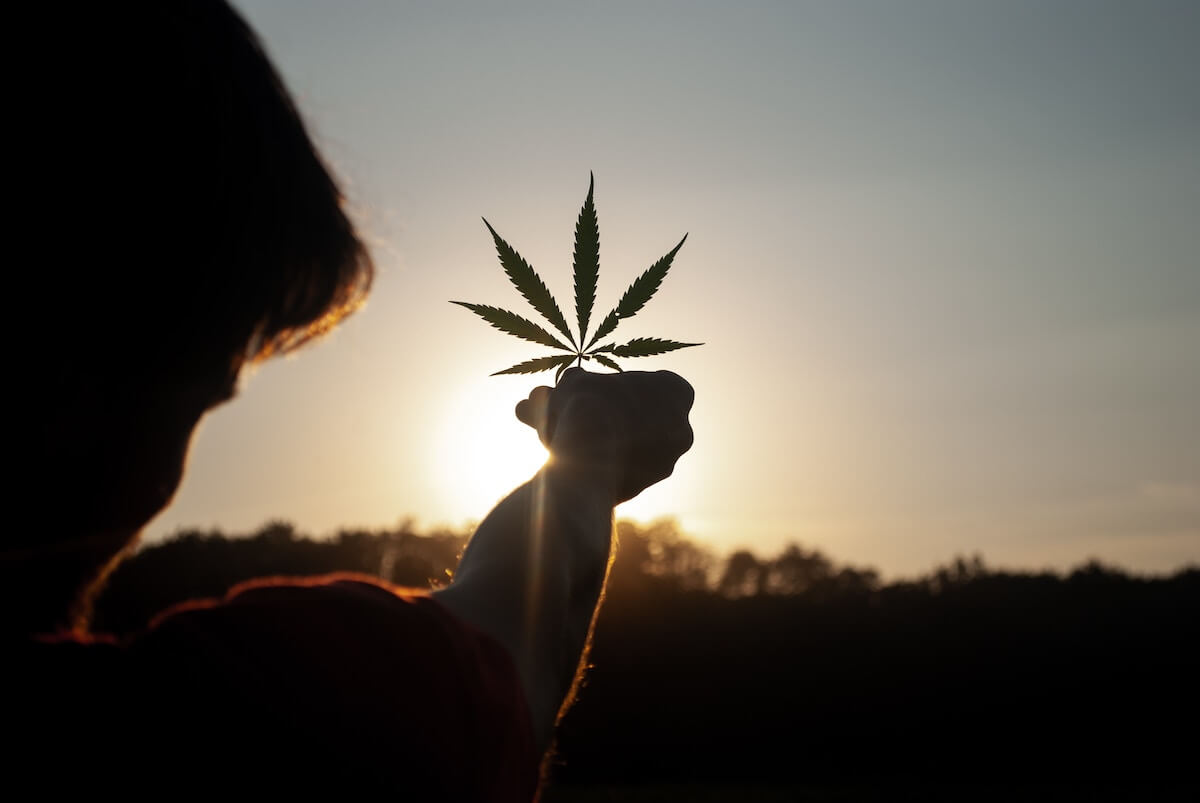 Ecco l’E-commerce libertario che porta a casa innocenti evasioni legali: cannabis, sex toys e molto altro