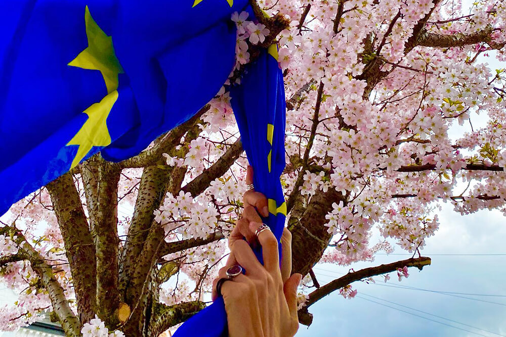 Unione Europea Bandiera foto di Flag Of Europe Instagram