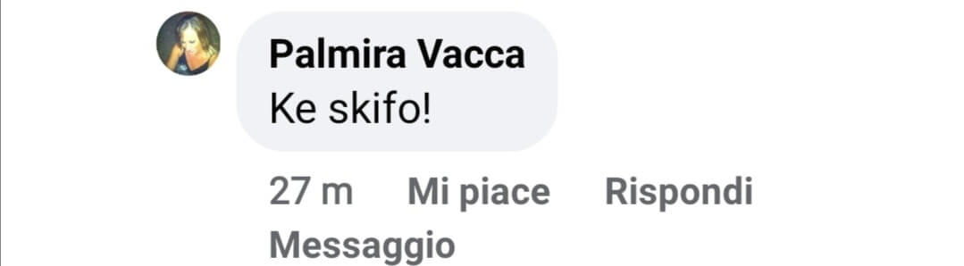 Karma B, ondata di omofobia social: "Fate schifo e orrore, repellenti, comportatevi da uomini veri" - Karma B ondata di omofobia social 5 - Gay.it
