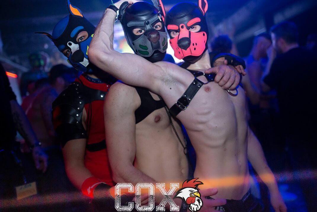 cox party, locali gay di roma