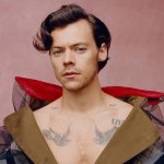 Harry Styles, il prossimo film e il nuovo libro che lo vuole “gentiluomo della musica pop”