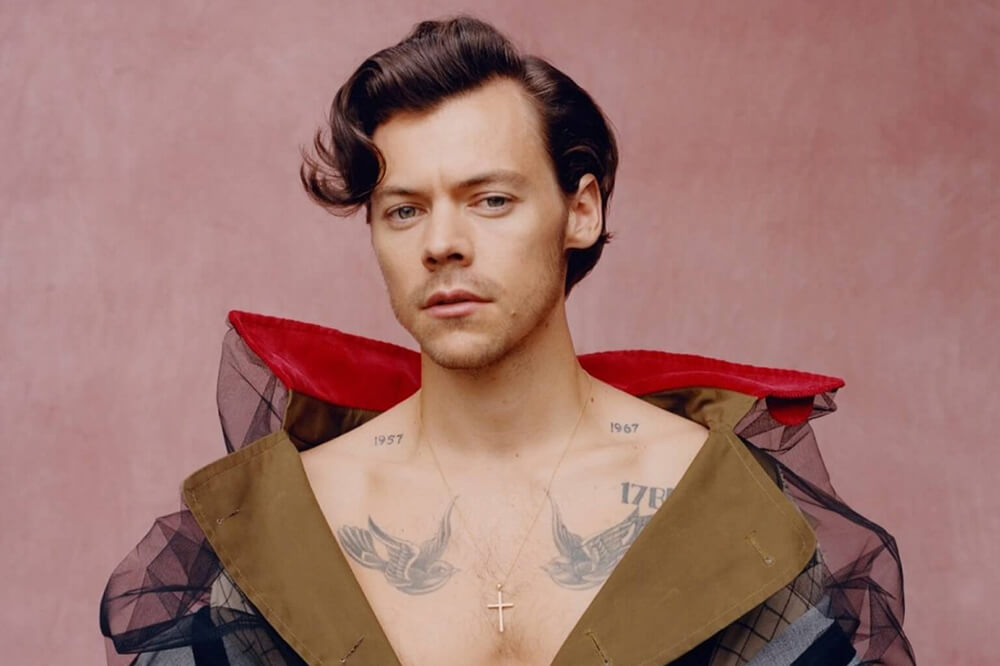 harry styles gay.it