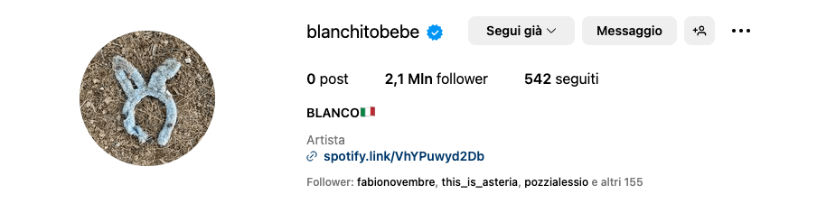 blanco coniglietto punk