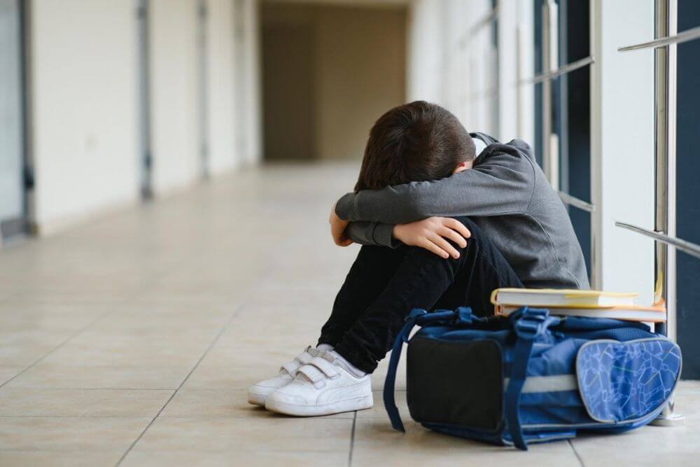 stati-uniti-minnesota-curriculum-lgbtqia