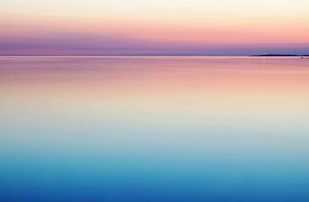 transgender Harli Marten su Unsplash