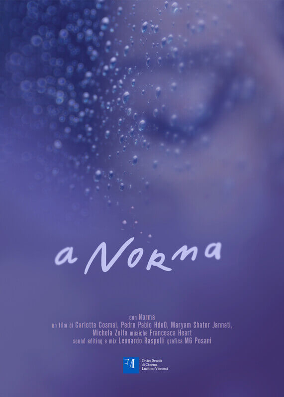 A Norma, storia di una sex worker trans peruviana tra desideri, aspettative e pregiudizi - Carlotta Cosmai a norma Poster - Gay.it