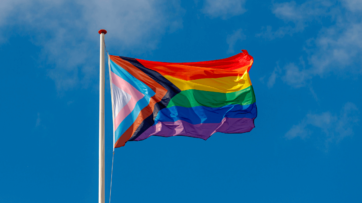 bandiera progress pride