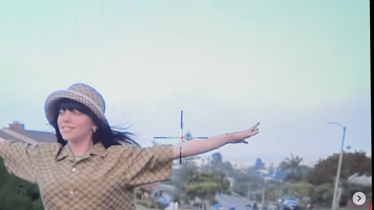 Billie Eilish è la prima popstar con una borsa vegana