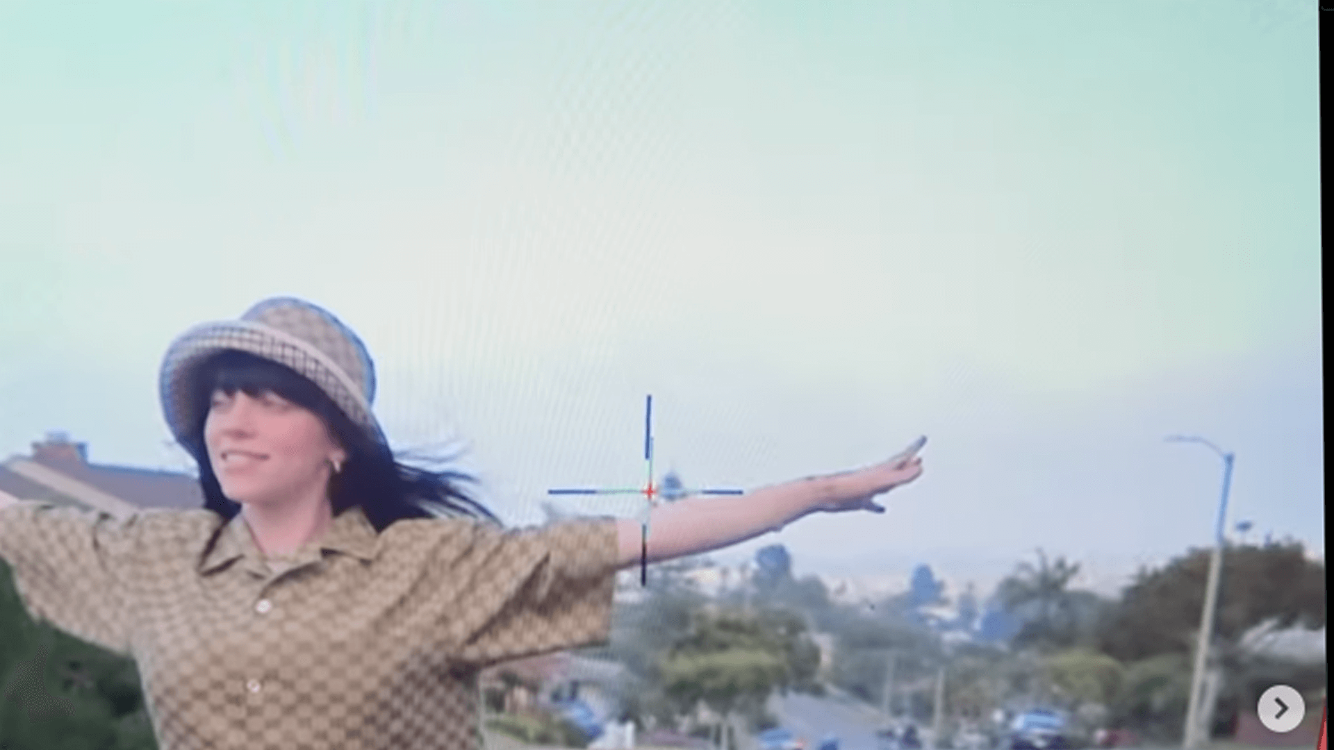 Billie Eilish è la prima popstar con una borsa vegana