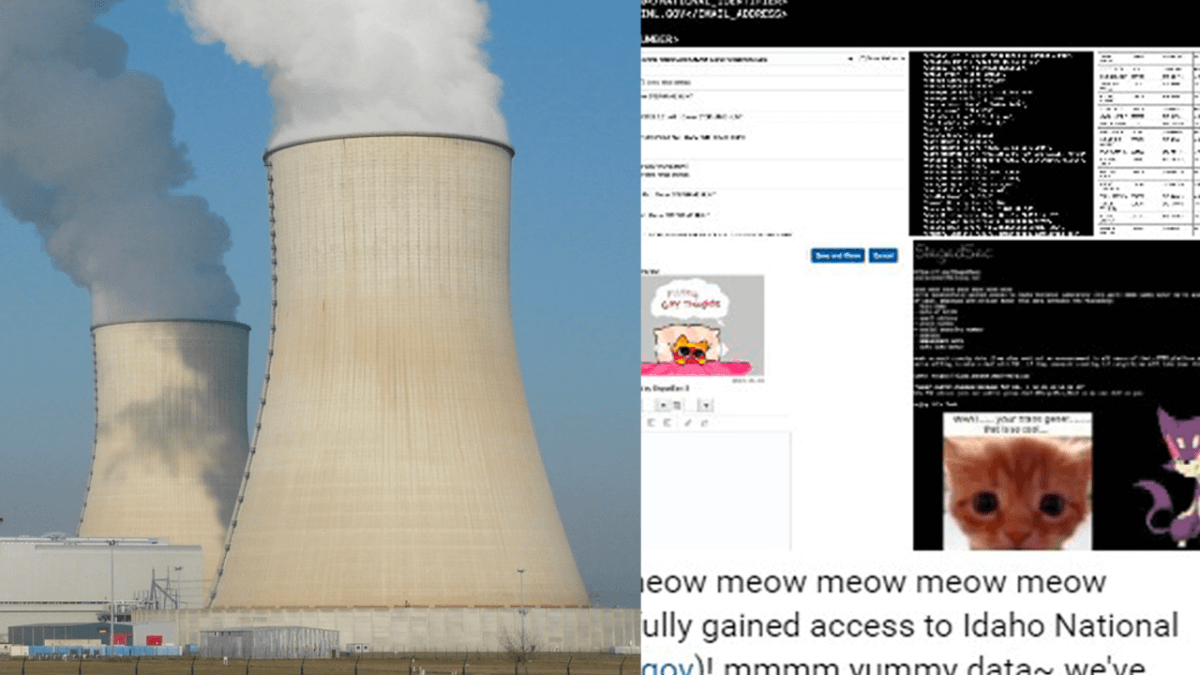 Si firmano “furry gay” e vogliono “ragazze gatto”: hacker attaccano il più grande laboratorio nucleare al mondo
