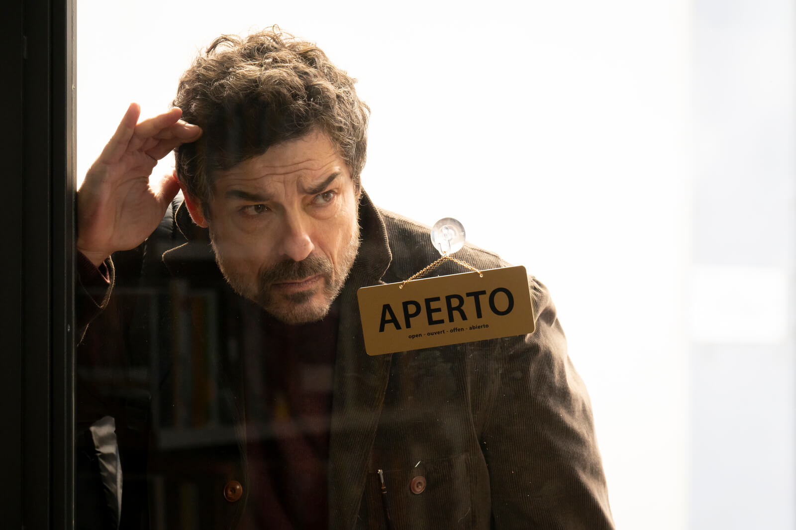 Alessandro Gassmann, Un Professore 2